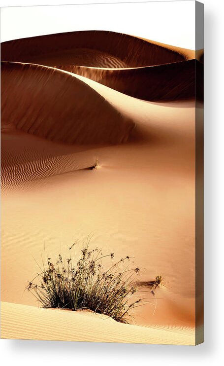 Uae Acrylic Print featuring the photograph Wild Sand Dunes - Persian Orange by Philippe HUGONNARD