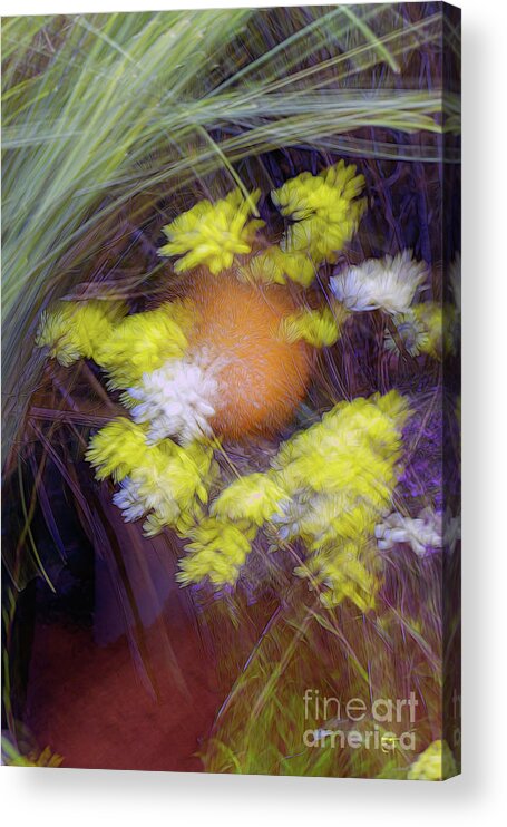  Acrylic Print featuring the photograph Wildflowers 3 by Elaine Teague