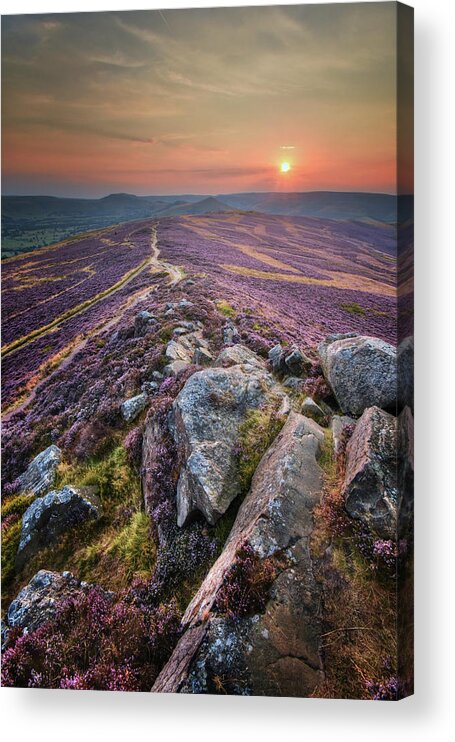Flower Acrylic Print featuring the photograph Win Hill 1.0 by Yhun Suarez
