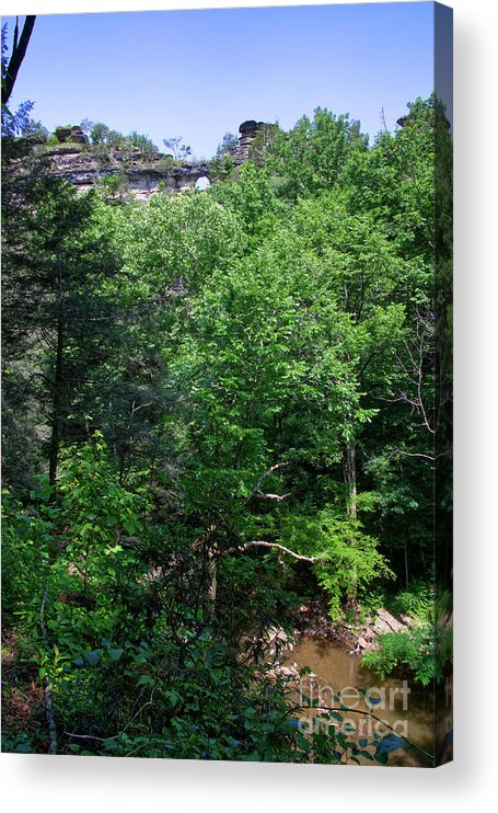 Caney Creek Acrylic Print featuring the photograph Window Cliffs 5 by Phil Perkins