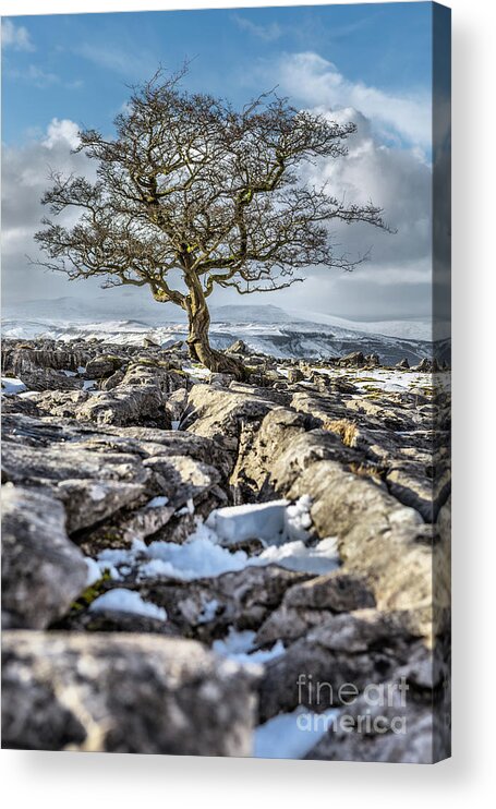 England Acrylic Print featuring the photograph Winskill Stones by Tom Holmes Photography