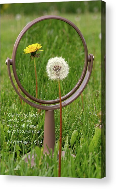 Dandelion Acrylic Print featuring the photograph With Sympathy- 2 Corinthians by Peter Herman