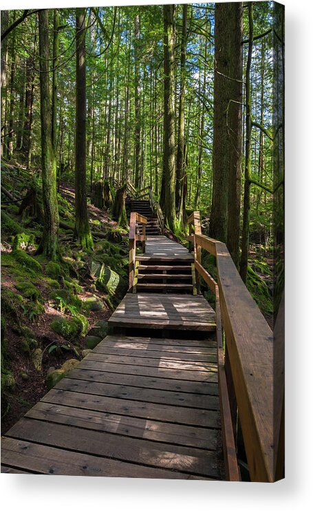 Alex Lyubar Acrylic Print featuring the photograph Wooden Staircase on a Hiking Trail by Alex Lyubar