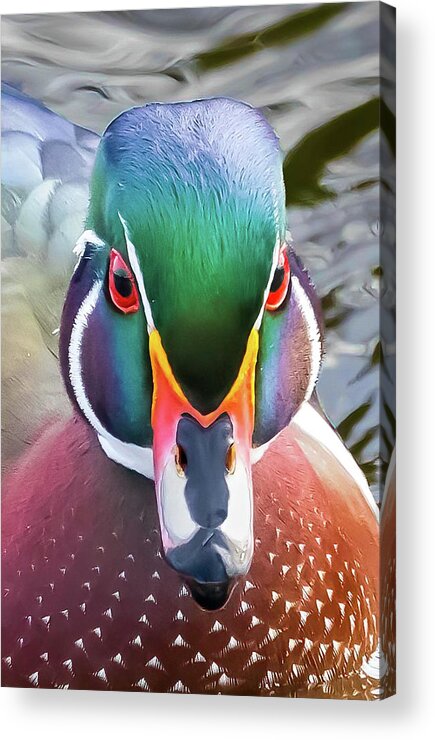 Closeup Acrylic Print featuring the photograph Woody's close up by Brian Shoemaker