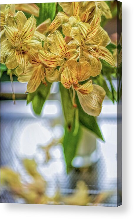 Yellow Flowers Acrylic Print featuring the photograph Yellow Flowers by Cordia Murphy