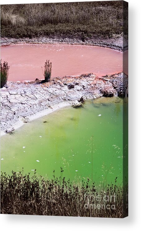 Yellowstone Acrylic Print featuring the photograph Yellowstone hot springs by Delphimages Photo Creations