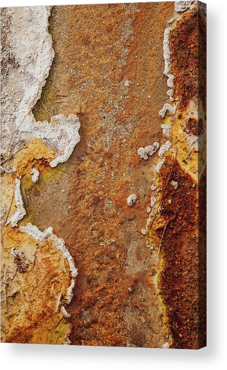 Nature Acrylic Print featuring the photograph Yellowstone Vibez by Go and Flow Photos