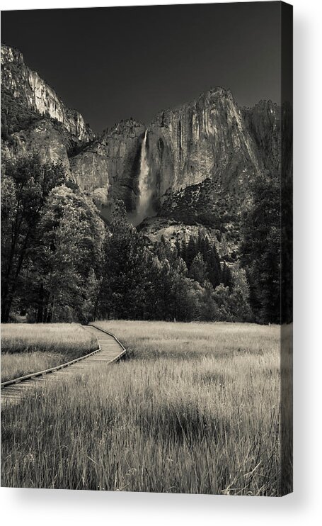 Yosemite Acrylic Print featuring the photograph Yosemite Meadow by Kelly VanDellen