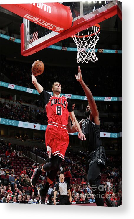 Chicago Bulls Acrylic Print featuring the photograph Zach Lavine by Gary Dineen
