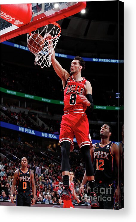 Chicago Bulls Acrylic Print featuring the photograph Zach Lavine by Jeff Haynes