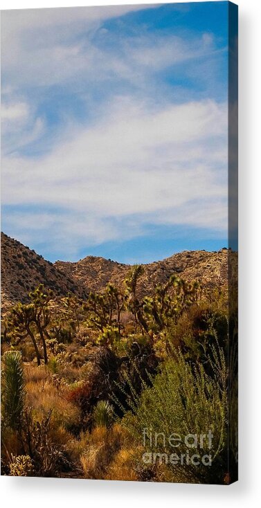 Desert Sun Acrylic Print featuring the photograph LasT STanD by Angela J Wright