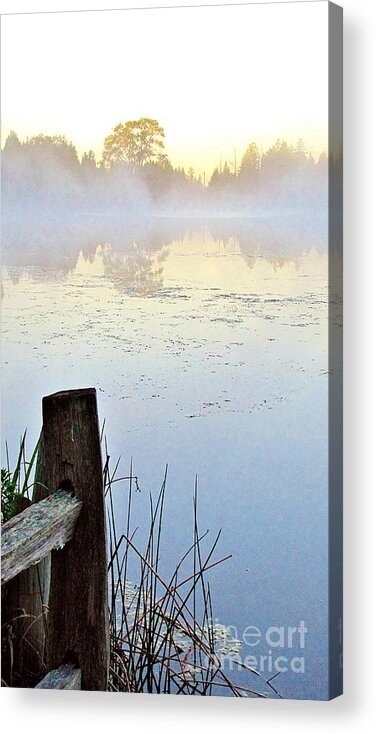 Fog Acrylic Print featuring the photograph Foggy Pond by Marilyn Smith