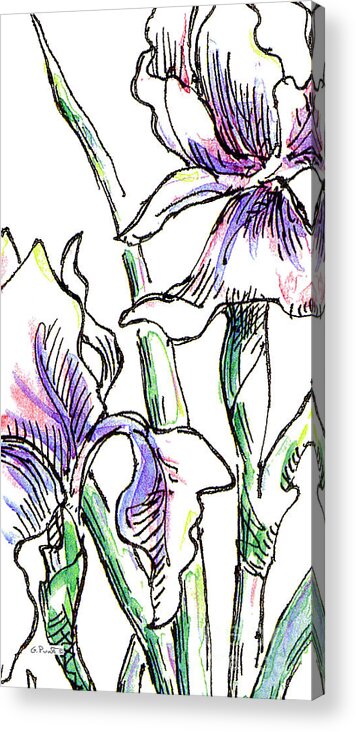 Fuchsia Acrylic Print featuring the drawing iPhone-Case-Flowers-Iris2 by Gordon Punt