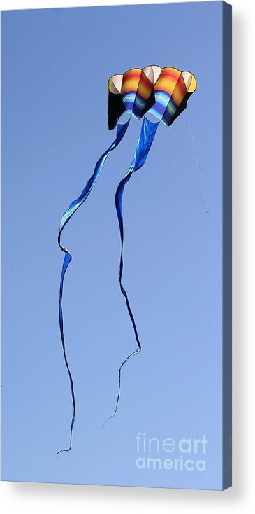 Kite Acrylic Print featuring the photograph Kite by Chris Anderson