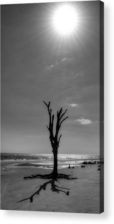 Jekyll Island Acrylic Print featuring the photograph Long Shadow on Jekyll Island in Black and White by Greg and Chrystal Mimbs