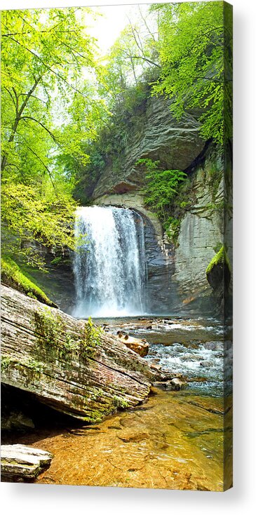 Duane Mccullough Acrylic Print featuring the photograph Looking Glass Waterfall in the Spring Vertical View by Duane McCullough