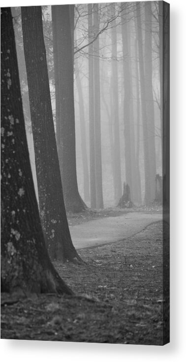 Park Acrylic Print featuring the mixed media The Woods by Trish Tritz