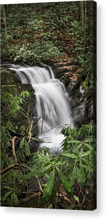 Appalachia Acrylic Print featuring the photograph Waterfall Panorama by Debra and Dave Vanderlaan