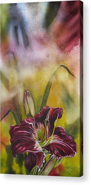 Watercolor Acrylic Print featuring the painting Lily In Red by Alfred Ng