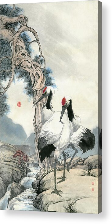 Red-crowned Crane Acrylic Print featuring the painting Cranes - 22 by River Han