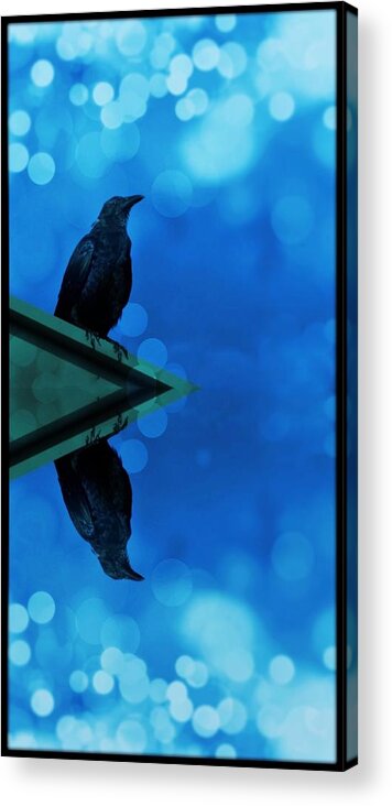 Crow Acrylic Print featuring the photograph Blue Crow by Stoney Lawrentz