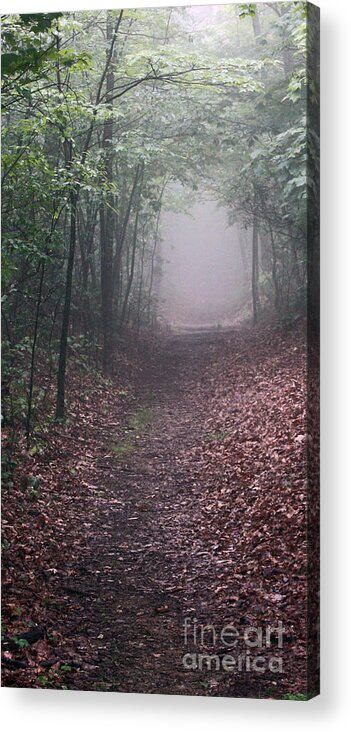 Shenandoah National Park Acrylic Print featuring the photograph Out of the Fog by Scott Heister