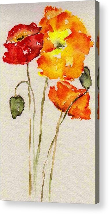 Watercolor Acrylic Print featuring the painting Poppy Trio by Anne Duke