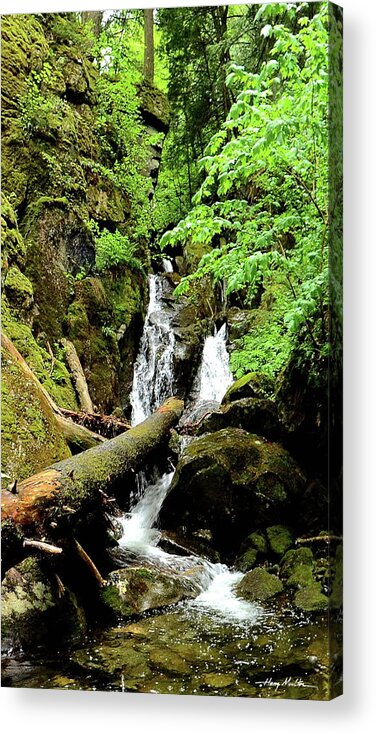 Waterfalls Acrylic Print featuring the photograph Porteus Falls by Harry Moulton