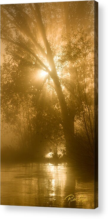 Natural Forms Acrylic Print featuring the photograph Sunrise and Fog by Rikk Flohr