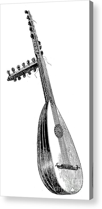Engraving Acrylic Print featuring the drawing Italian Theorbo, 16th Century, 1901 by Print Collector