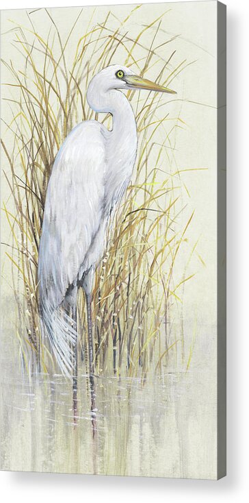 Animals & Nature+birds+water Birds Acrylic Print featuring the painting Wading I by Tim Otoole
