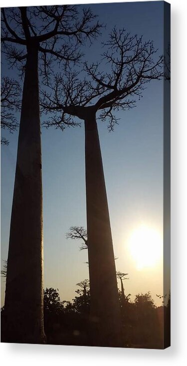 All Acrylic Print featuring the digital art Baobab Alley at Sunset in Madagascar KN12 by Art Inspirity