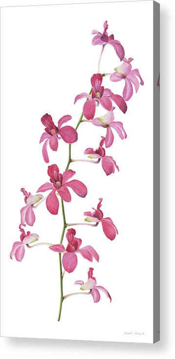 Nikita Coulombe Acrylic Print featuring the painting Pink Orchids II by Nikita Coulombe