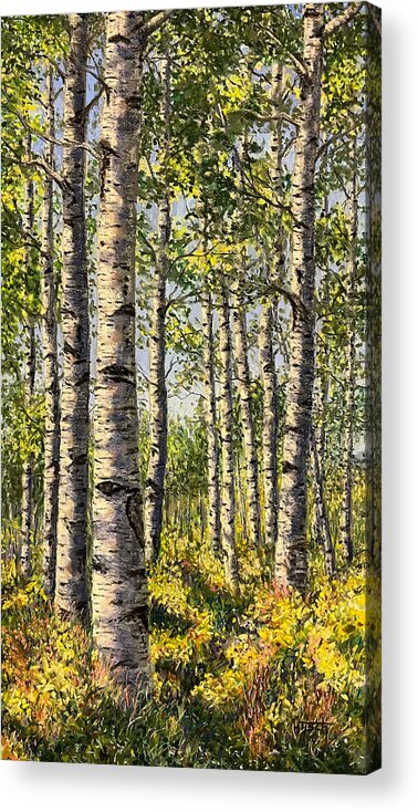 Birch Acrylic Print featuring the pastel Sun in the Woods by Lee Tisch Bialczak