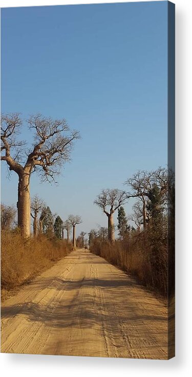 All Acrylic Print featuring the digital art The Trees in Baobab Alley in Madagascar KN50 by Art Inspirity