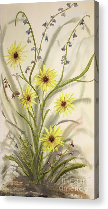 Flower Acrylic Print featuring the painting Wild Daisies and Blue Bells by Catherine Ludwig Donleycott