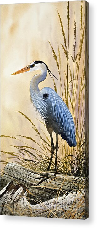 Heron Acrylic Print featuring the painting Blue Herons Bright Shore by James Williamson