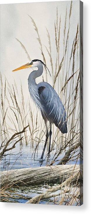 Heron Acrylic Print featuring the painting Herons Natural World by James Williamson