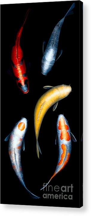 Koi Acrylic Print featuring the painting Koi V by Victoria Page
