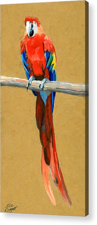 Parrot Acrylic Print featuring the painting Parrot Perch by Alice Leggett