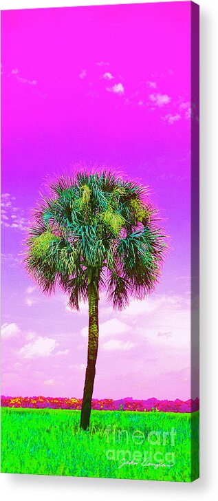Wild Palms Acrylic Print featuring the digital art Wild Palm 4 by John Douglas