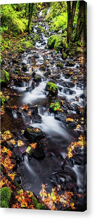Salvation Creek Acrylic Print featuring the photograph Salvation Creek in Columbia River Gorge by Vishwanath Bhat
