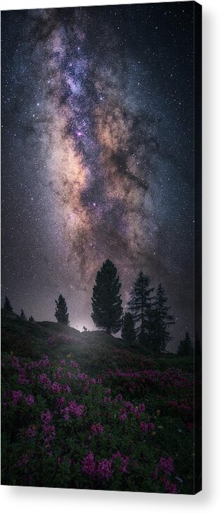 Milkyway Acrylic Print featuring the photograph Art Of Night V by Carlos F. Turienzo