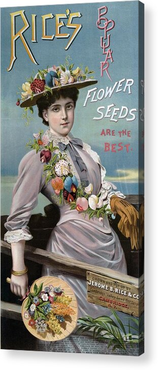 Americana Acrylic Print featuring the digital art Rices's Popular Flower Seeds, 1896 by Kim Kent