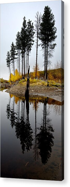 Reflections Acrylic Print featuring the photograph Autumn Reflection Vertical by Allan Van Gasbeck