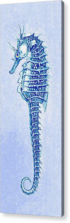 Jane Schnetlage Acrylic Print featuring the digital art Aqua seahorse- Left by Jane Schnetlage