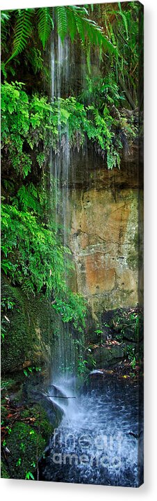 Photography Acrylic Print featuring the photograph Cool and Refreshing by Kaye Menner