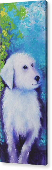 Dog Acrylic Print featuring the painting Gus Monet by Deb Harvey