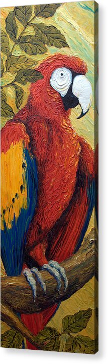 Macaw Acrylic Print featuring the painting Macaw by Paris Wyatt Llanso