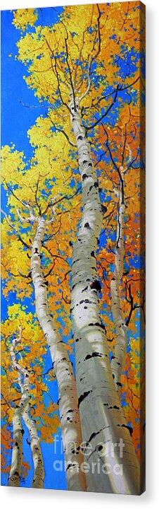 Fall Aspen Acrylic Print featuring the painting Tall Aspen Trees by Gary Kim
